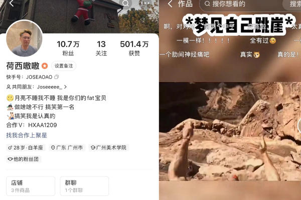 IP类—荷西嗷嗷快手账号代运营